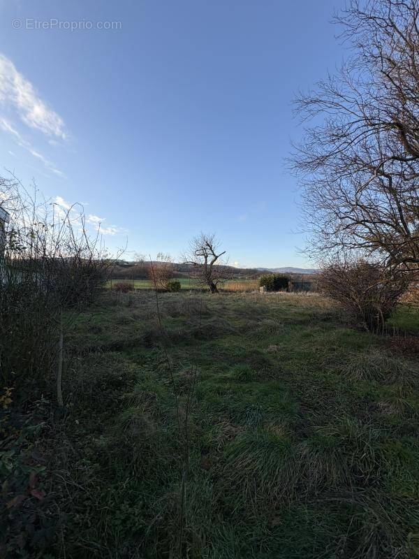 Terrain à MESSIMY