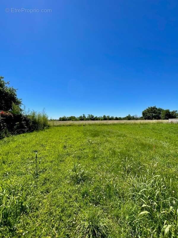Terrain plat viabilisé 914 m² – Accès rapide Toulouse/Montauban-Bressols (82370) - photo 4