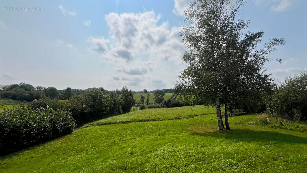 Maison rénovée avec potentiel de suite parentale, grand terrain et sous-sol total   Rare sur le secteur - photo 3