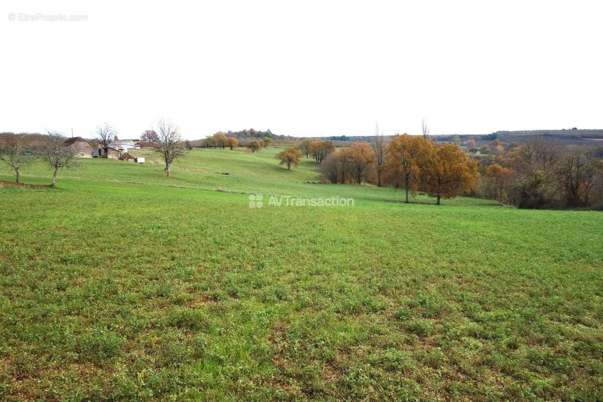 Terrain à TEILLOTS
