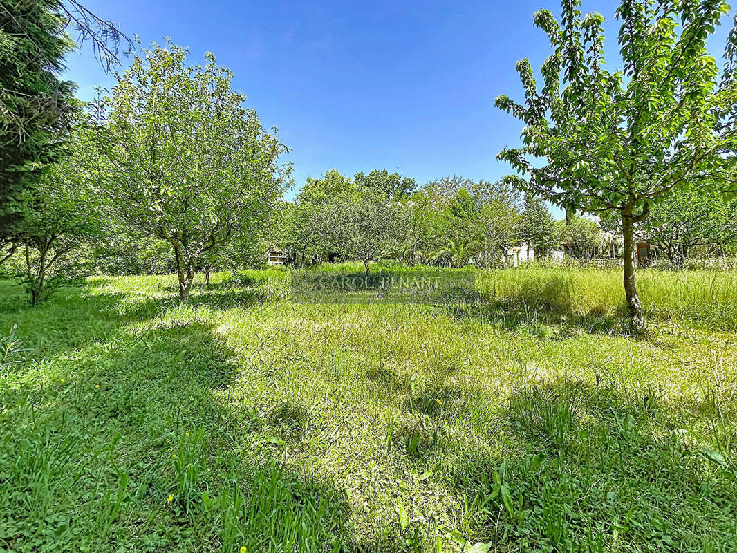 Terrain à LE PONTET