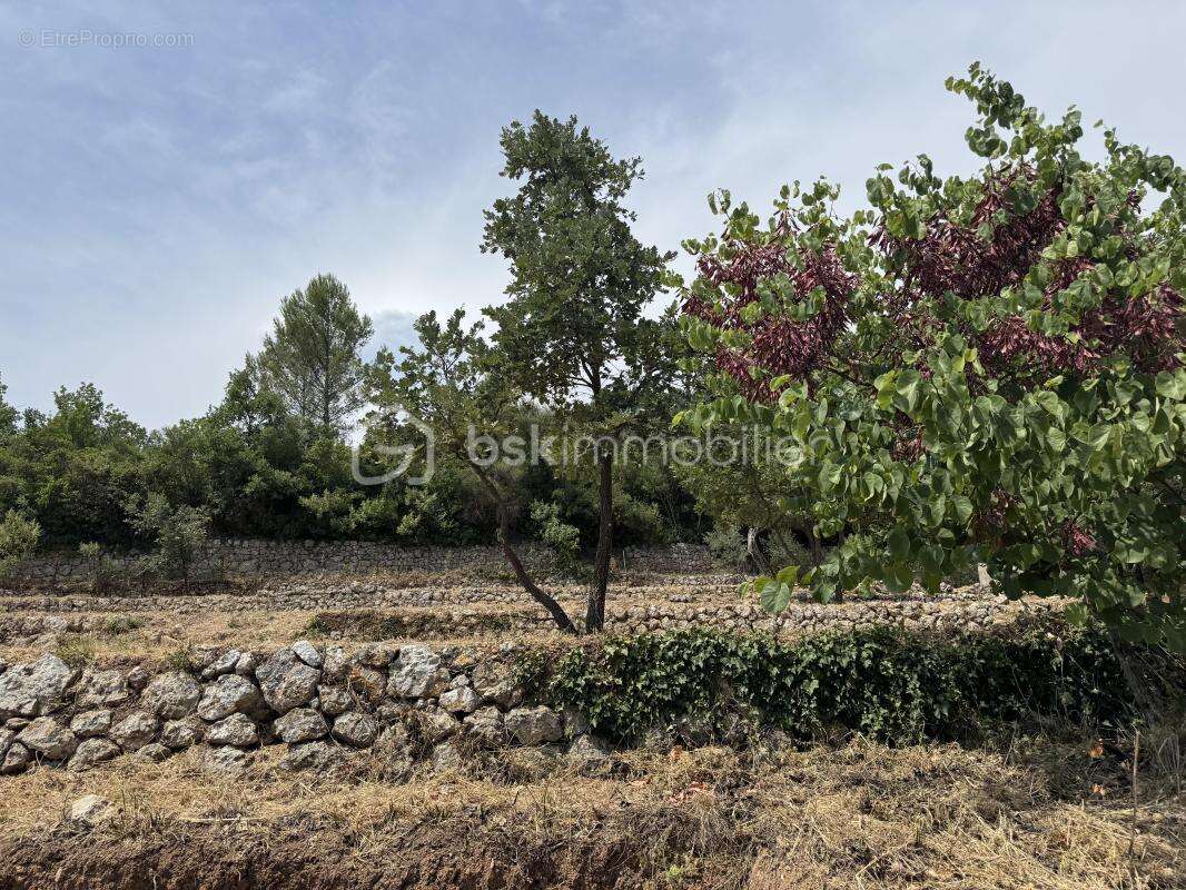 A BELGENTIER (83210) – Terrain constructible de 1 017 m² avec permis accordé pour villa, piscine et garage, vue dominante. Libre - photo 5