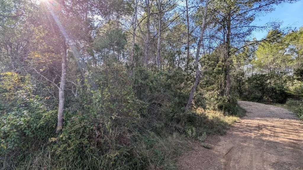 CARCES - Terrain non constructible 9.696m² boisé - photo 8