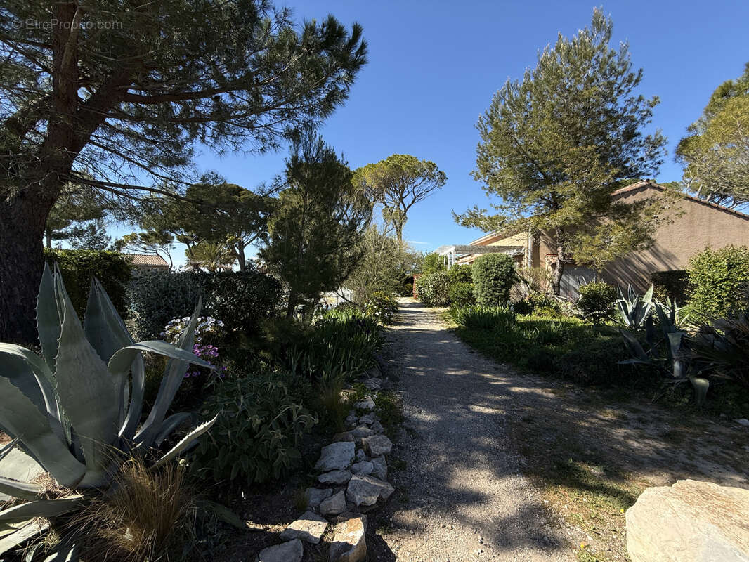 Maison à CALVISSON