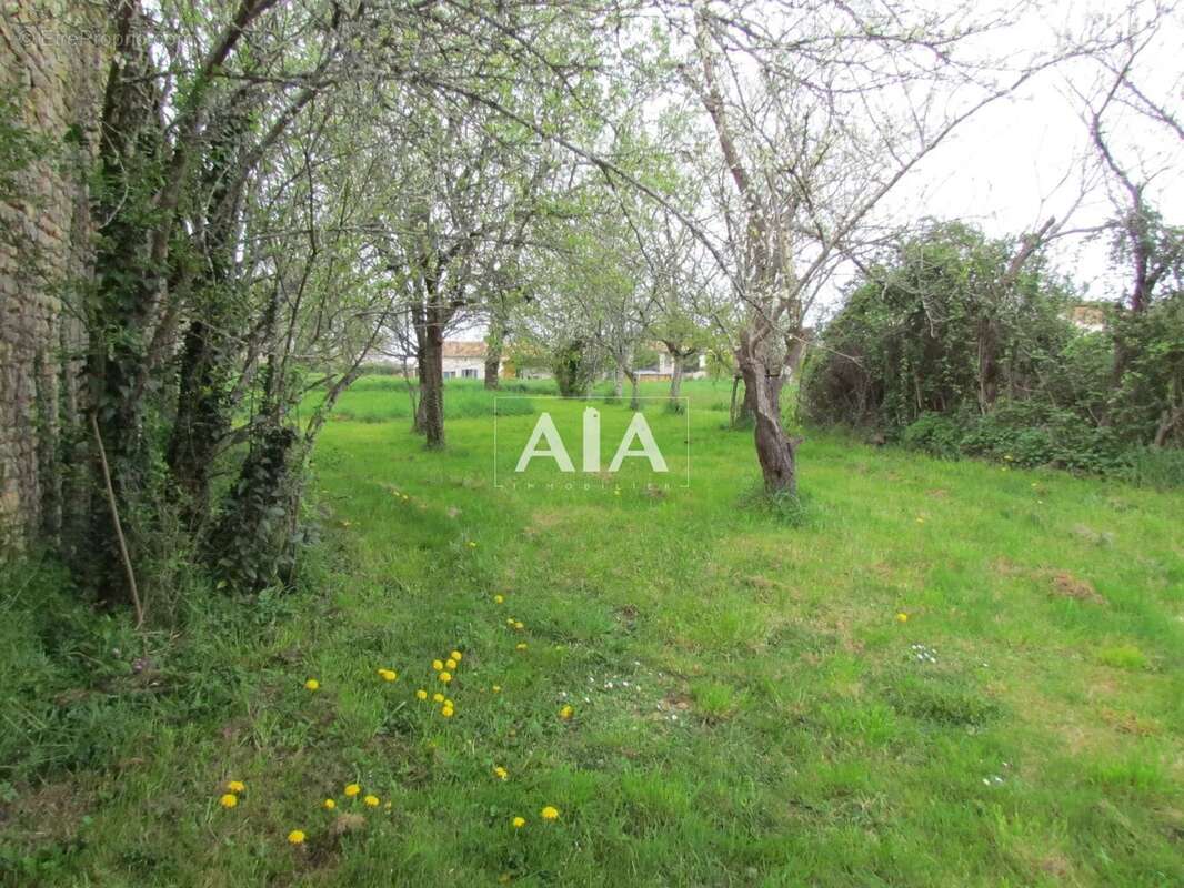 Maison à LES ADJOTS