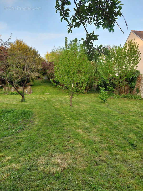 Terrain à BEAUGENCY