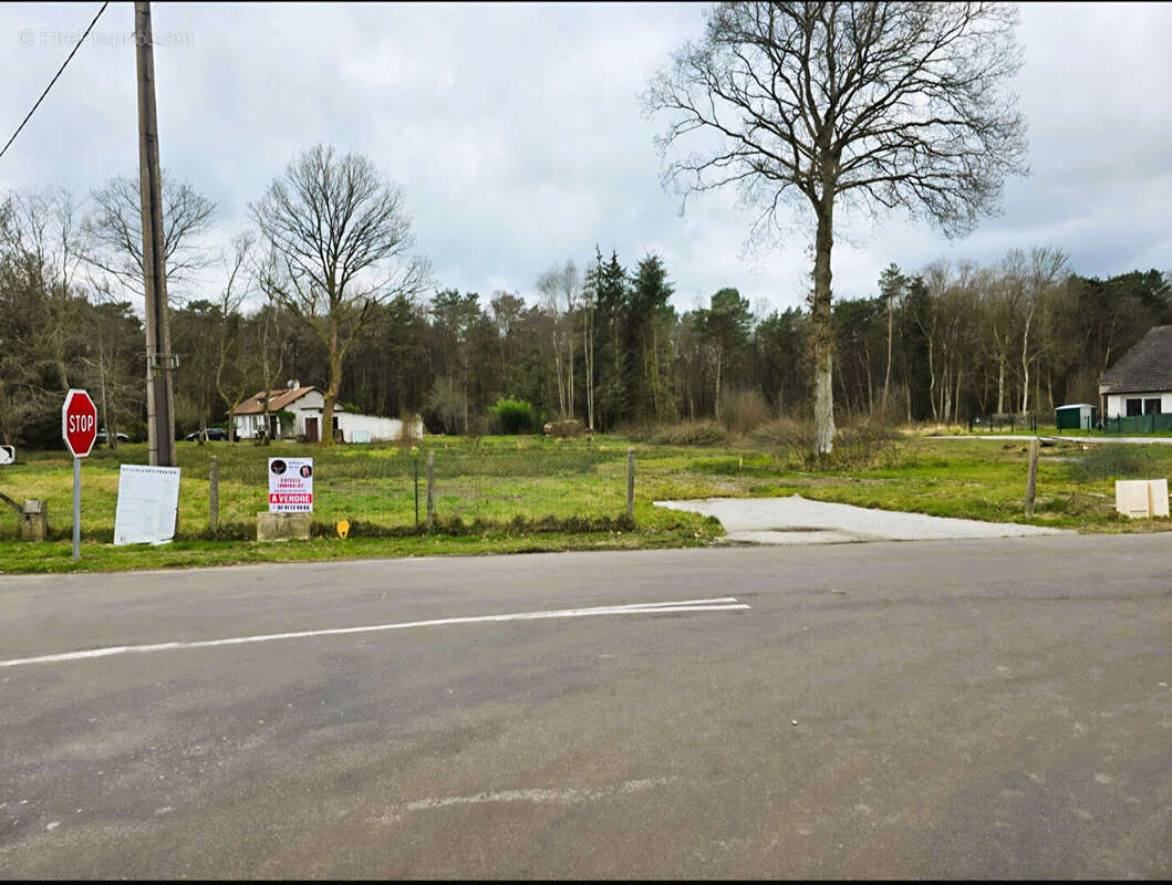 Terrain à LA FERTE-FRENEL