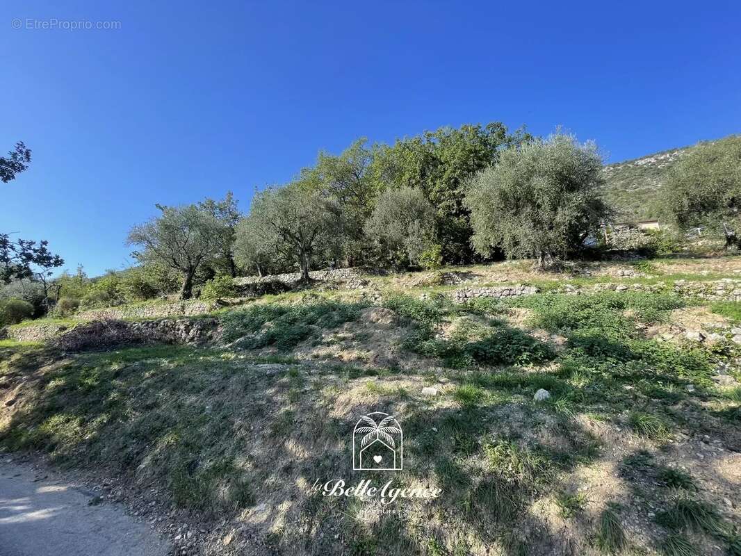 Chateauneuf Villevieille - Terrain constructible 1950m² "André" - photo 4