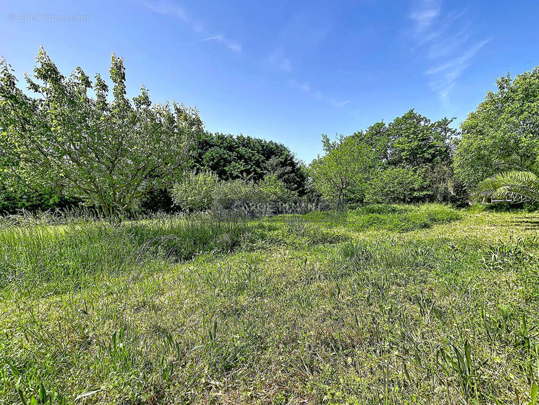 Terrain à LE PONTET