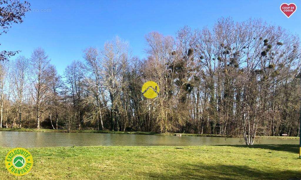 Maison à SAVIGNY-EN-SANCERRE