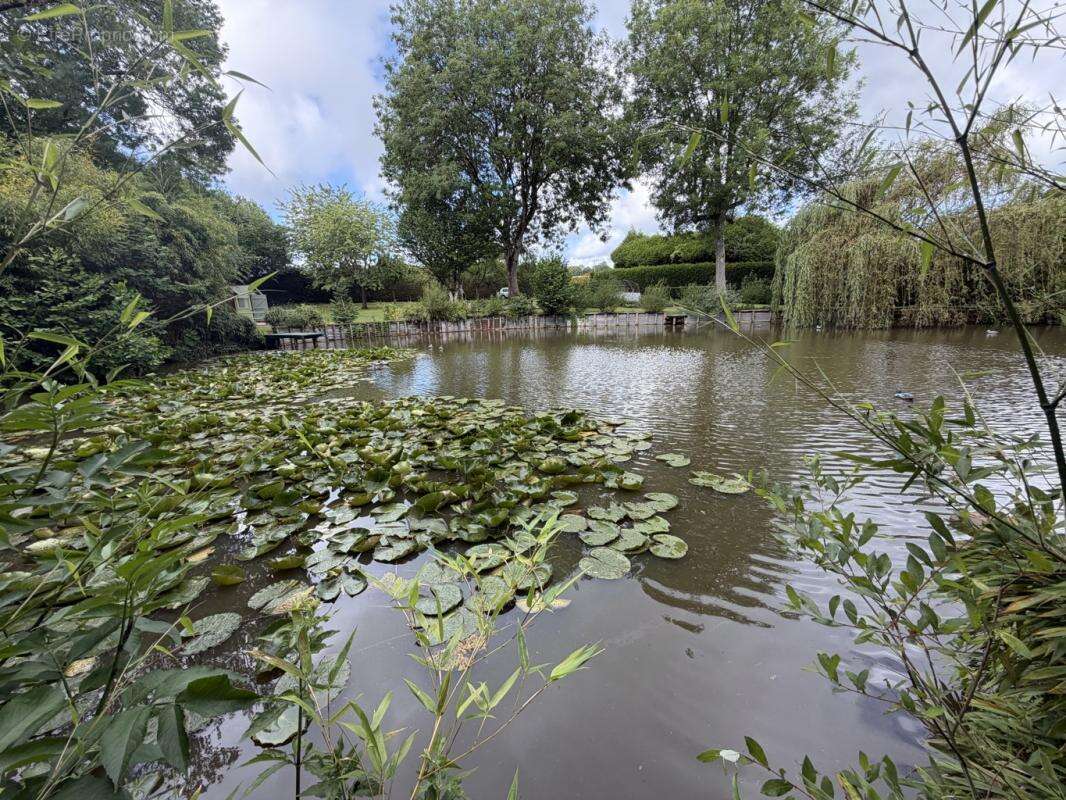 Magnifique terrain d'agrément à Bellême (61130) avec pièce d'eau - photo 2