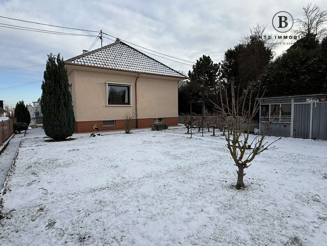 Jardin orienté Ouest - Maison à NIEDERHAUSBERGEN