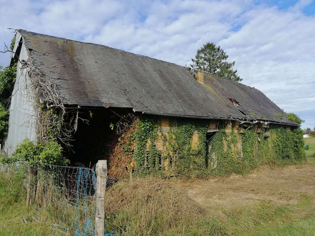 Le mesnillard - photo 5