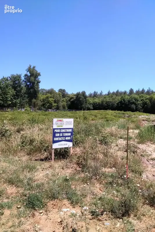 Terrain à RUAUDIN