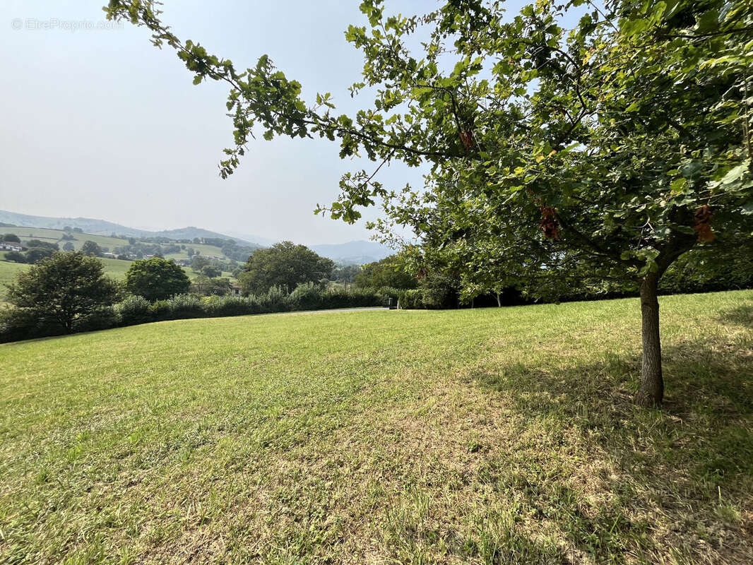 Photo 2 - Terrain à IRISSARRY