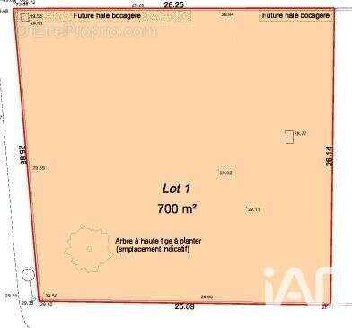 Photo 2 - Terrain à TALMONT-SAINT-HILAIRE