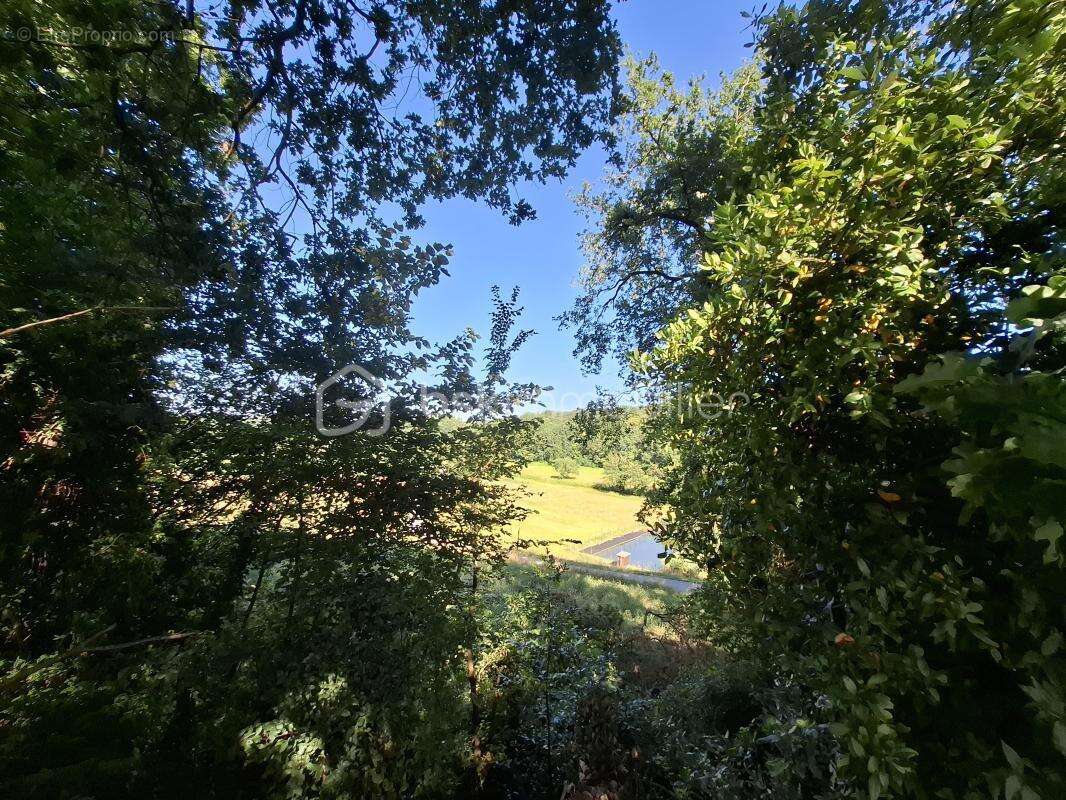 Terrain à bâtir 1 056 m² – Mérignas (33350) – Secteur privilégié - photo 5