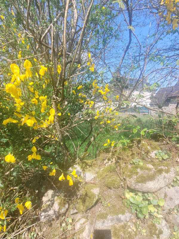 Maison à LOGUIVY-PLOUGRAS
