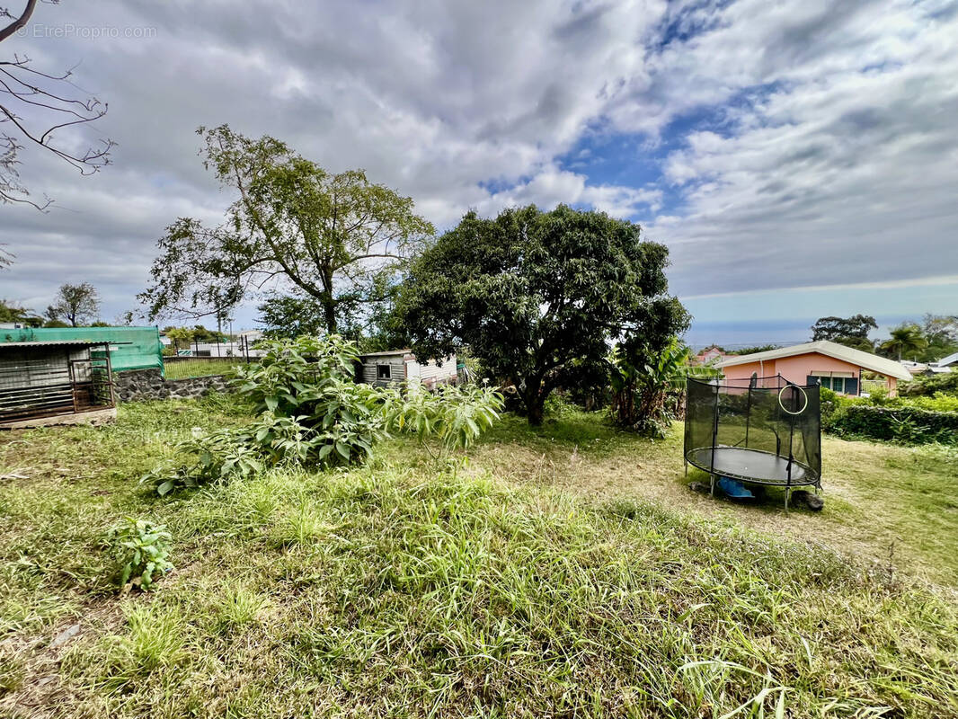 Terrain à LE TAMPON