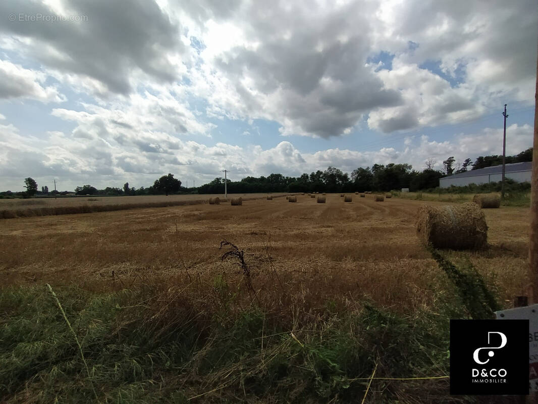 Terrain à LA CHAPELLE-DE-GUINCHAY