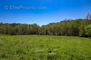 Terrain à SAINT-VINCENT-DE-CONNEZAC