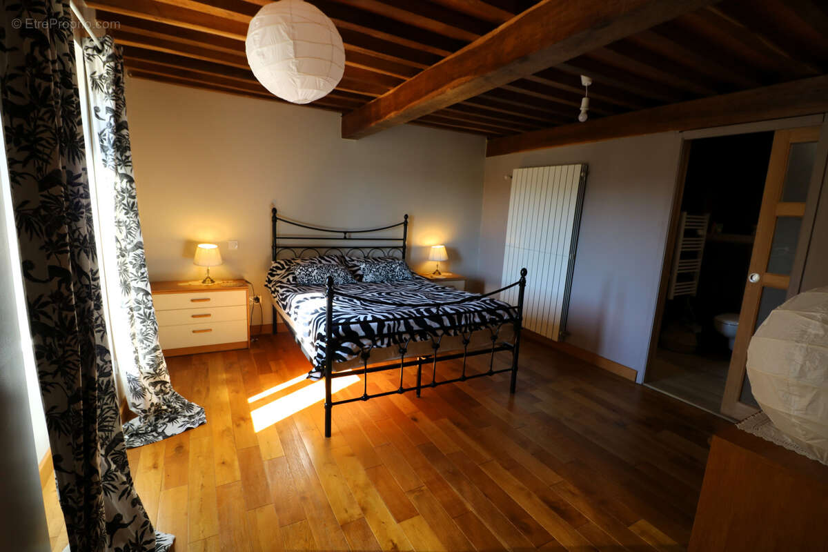 Propriété exceptionnelle, ferme ancienne rénovée, gîte, vue incroyable sur la chaîne des Pyrénées - photo 51