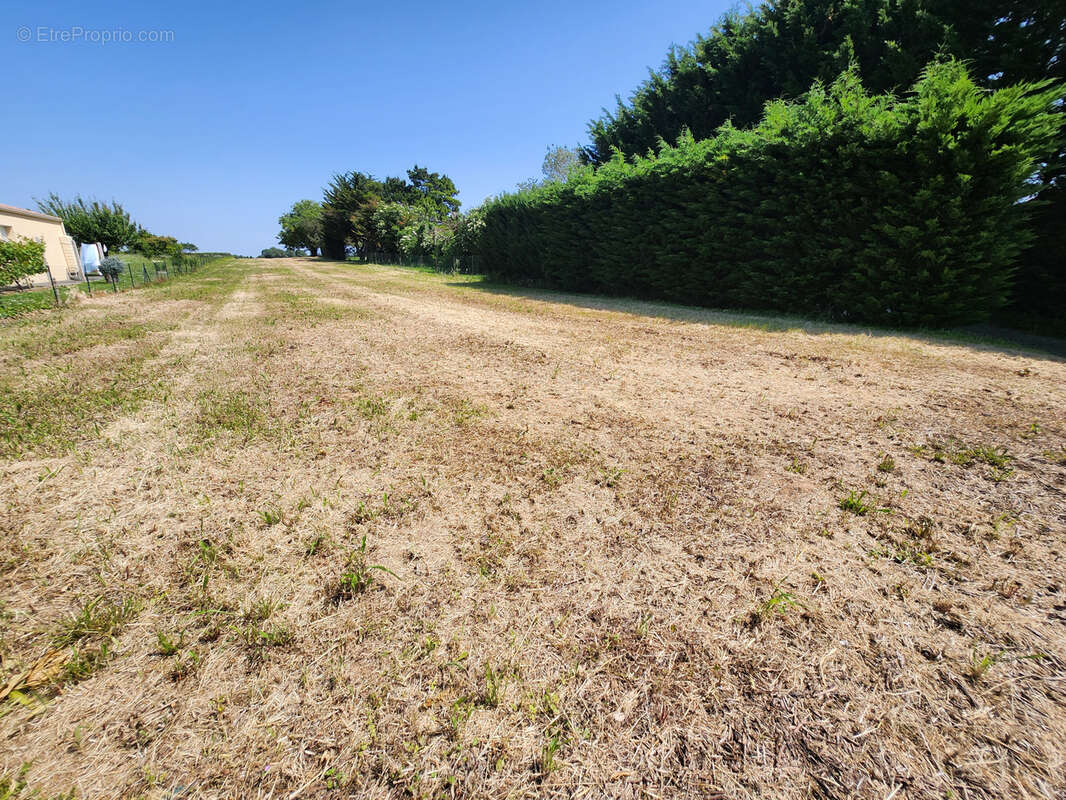 Terrain à SAINT-AUBIN-LA-PLAINE