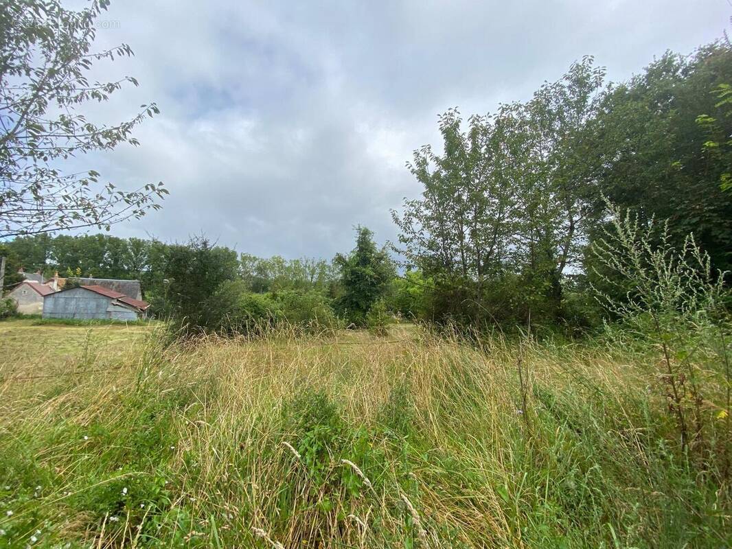 Photo 1 - Terrain à BRIDORE