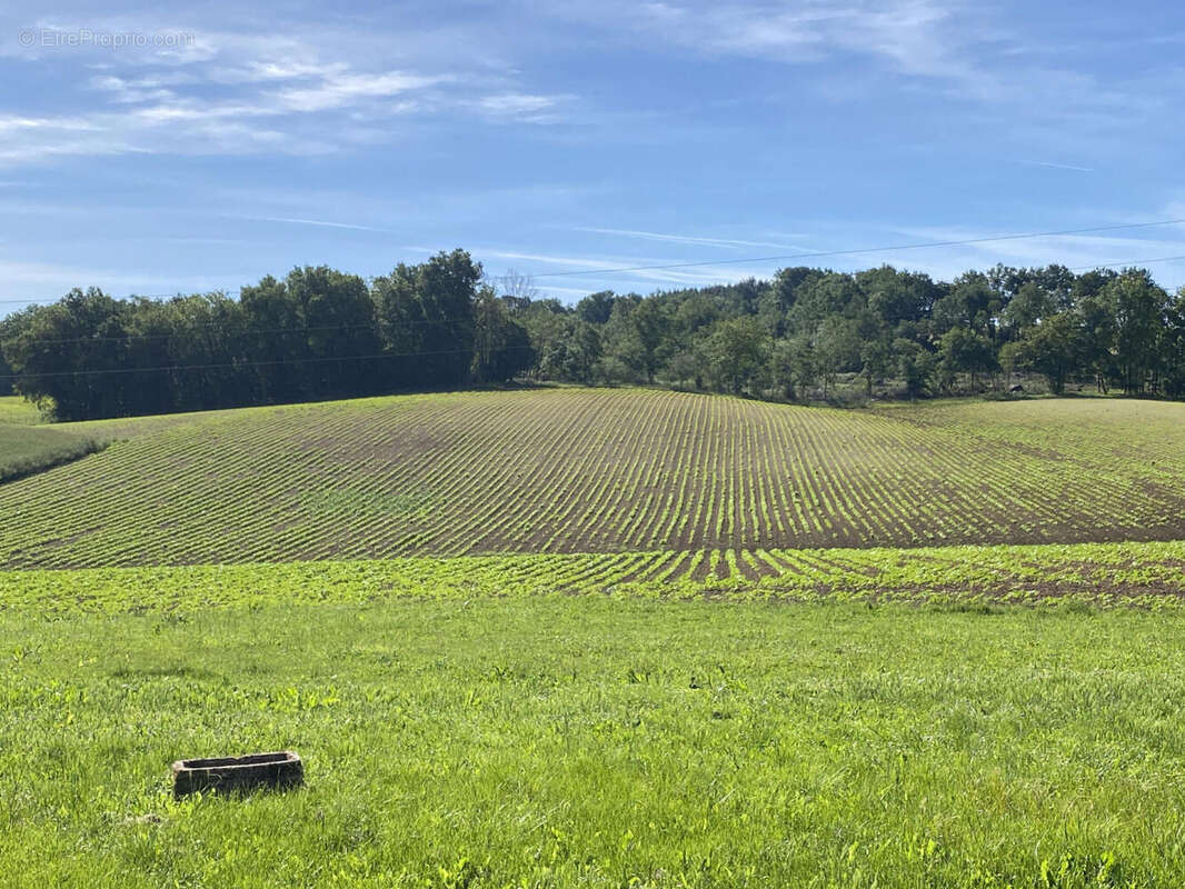 Jolie maison de campagne à vendre à Bors-de-Montmoreau - photo 11