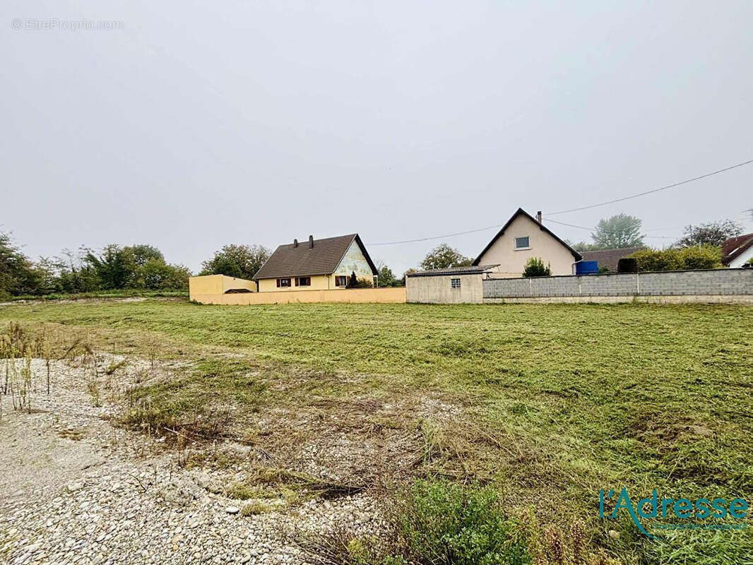 Terrain à WECKOLSHEIM