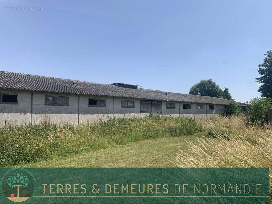 Dans le CALVADOS, région FALAISE, propriété agricole de 34 ha en herbage d'un seul tenant - photo 19