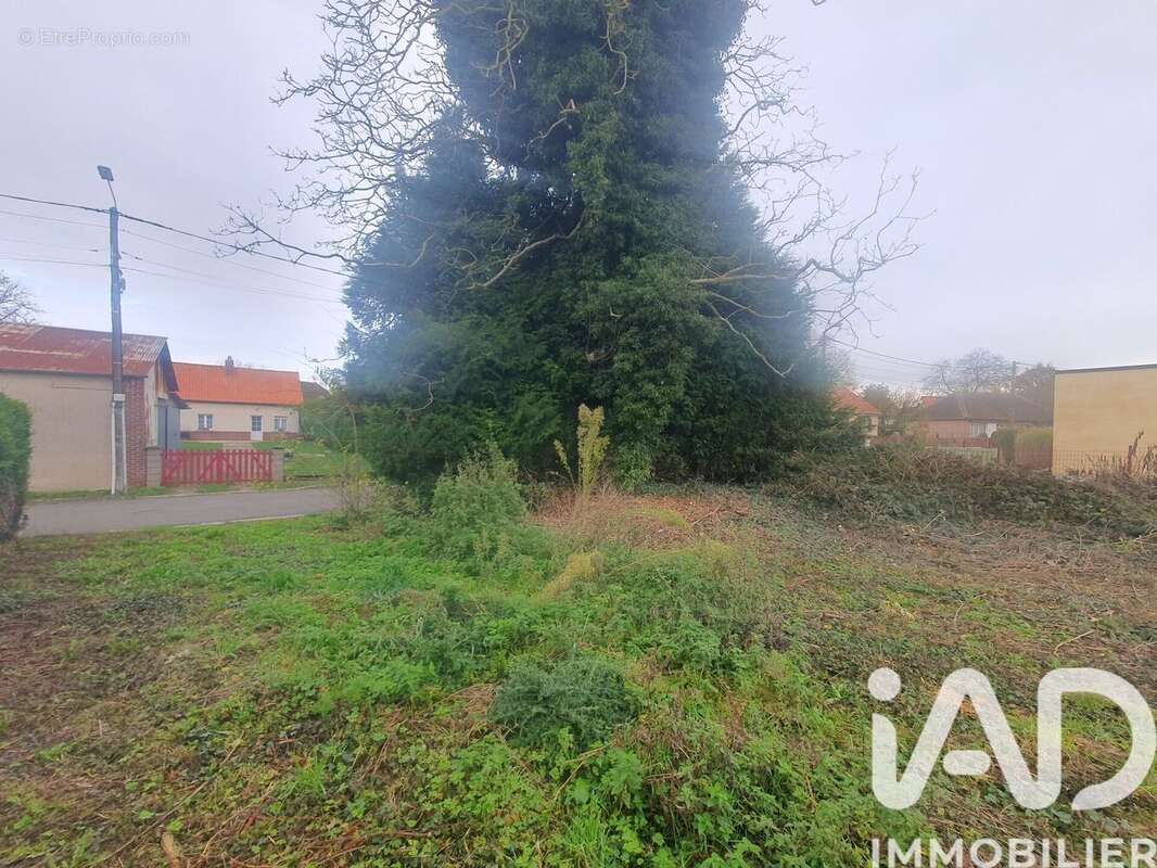 Photo 6 - Terrain à RAINNEVILLE