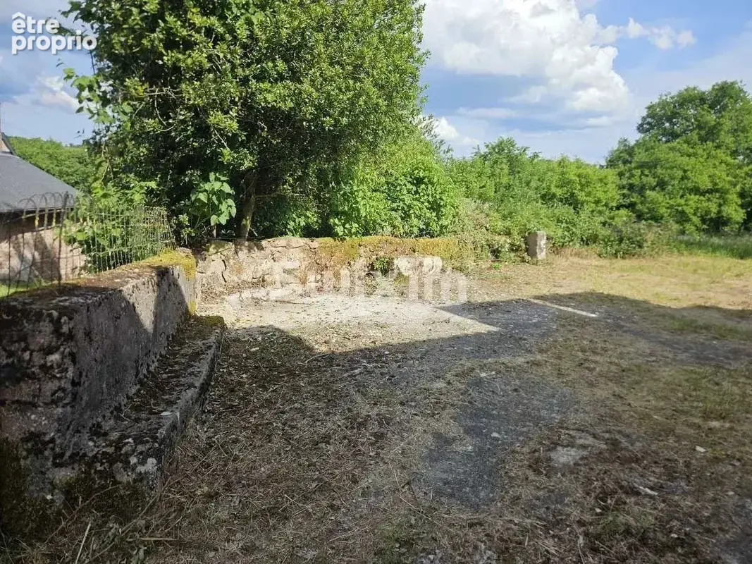 Maison à rénover avec 5 500 m² de terrain, calme, beau potentiel - photo 2