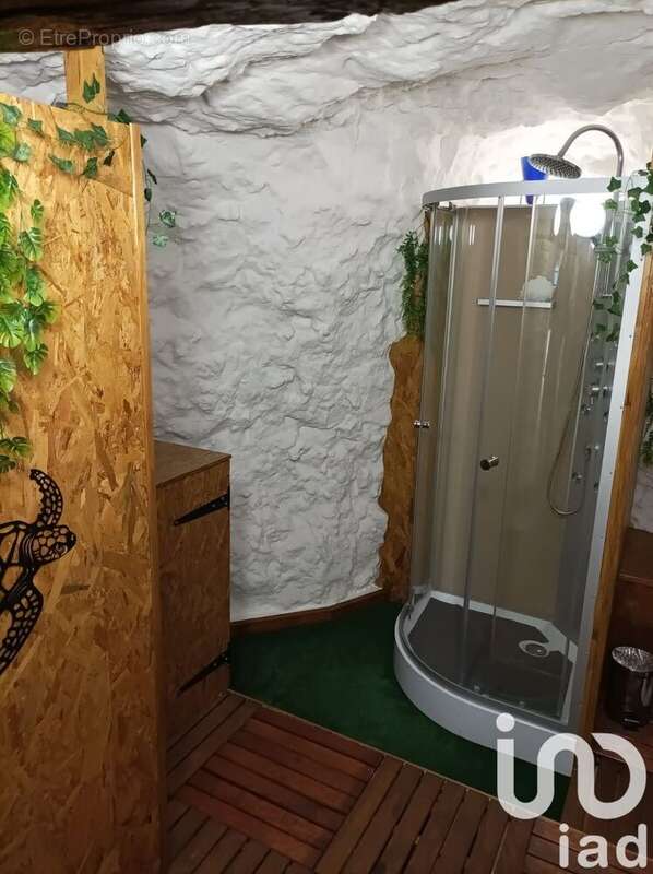 Photo 6 - Maison à LUSSAULT-SUR-LOIRE