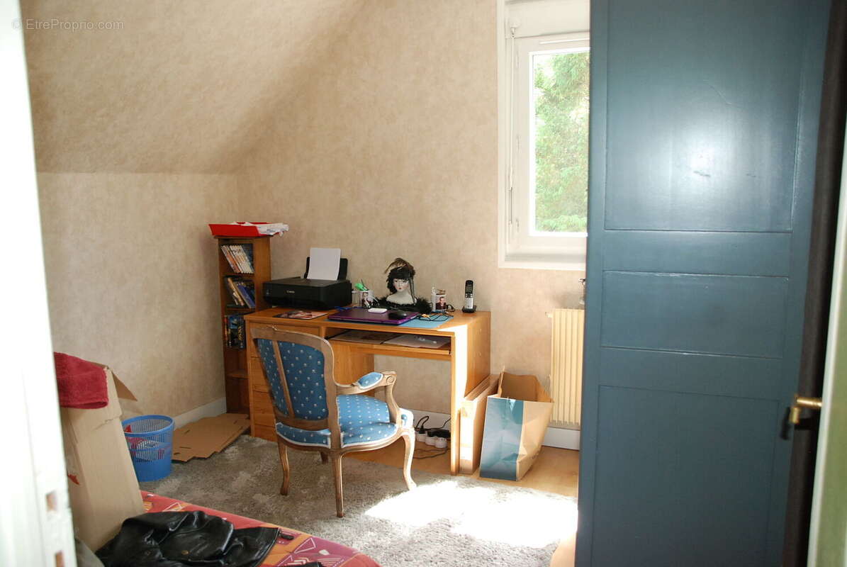 Photo 5