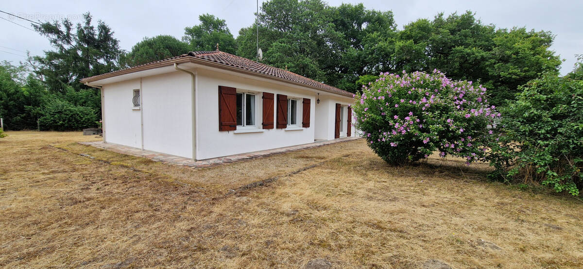 Maison à BAZAS