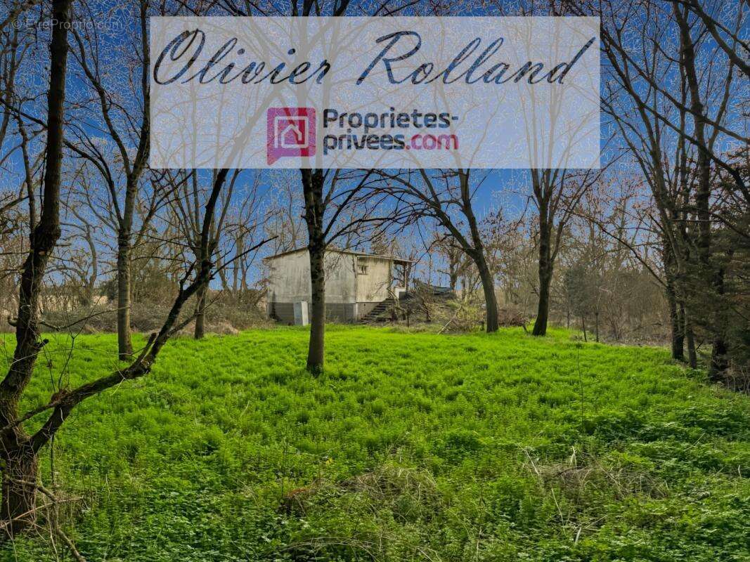 Maison à MONTREUIL-BELLAY