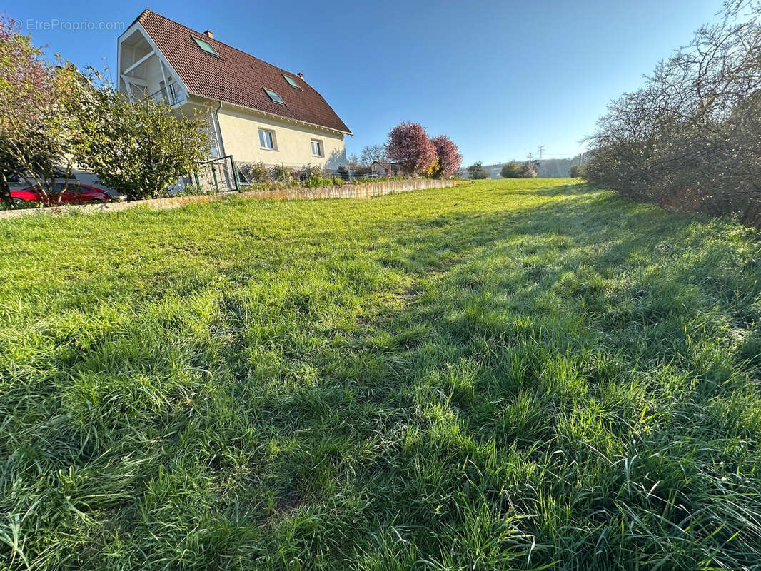 Terrain à WASSELONNE