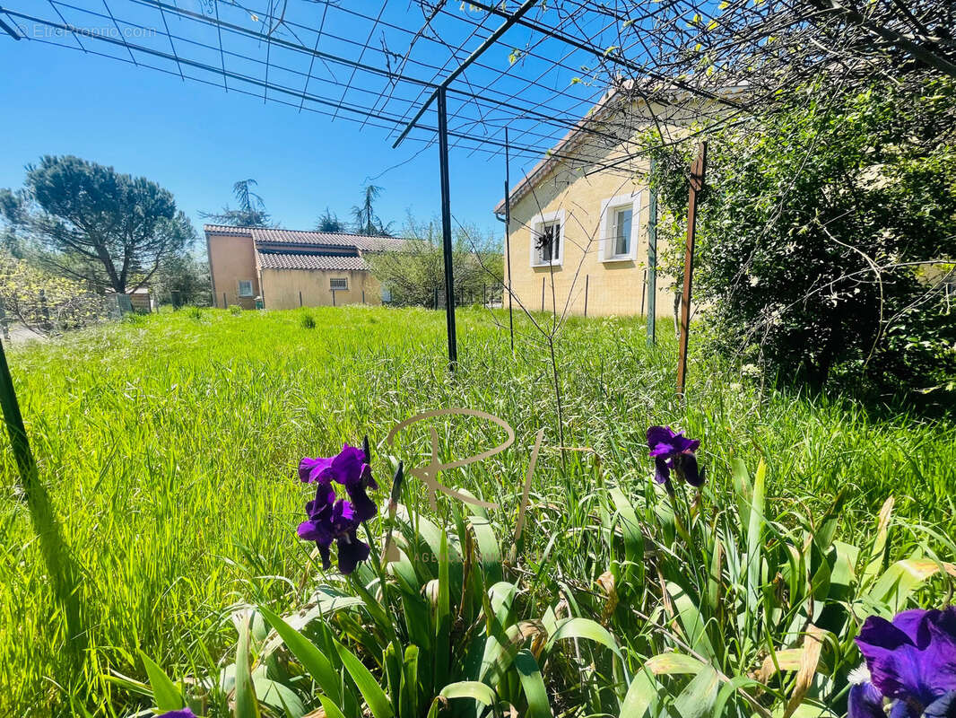 Maison de plain pied centre ville Ruoms - photo 2