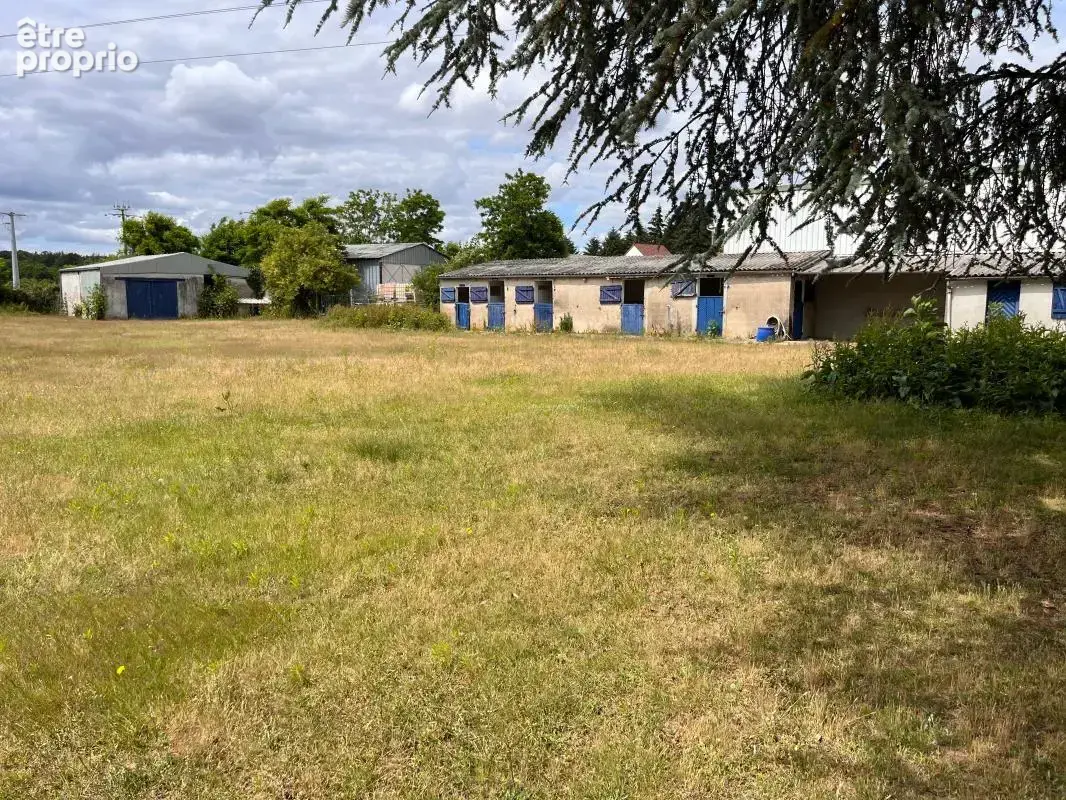 Terrain À Vendre sur  Olivet sud - photo 5