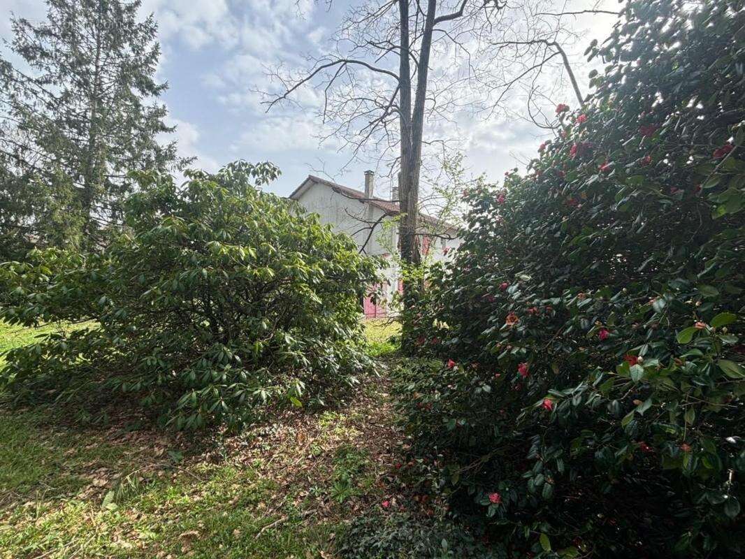 Maison à vendre 7 pièces TERCIS LES BAINS (40) - photo 29