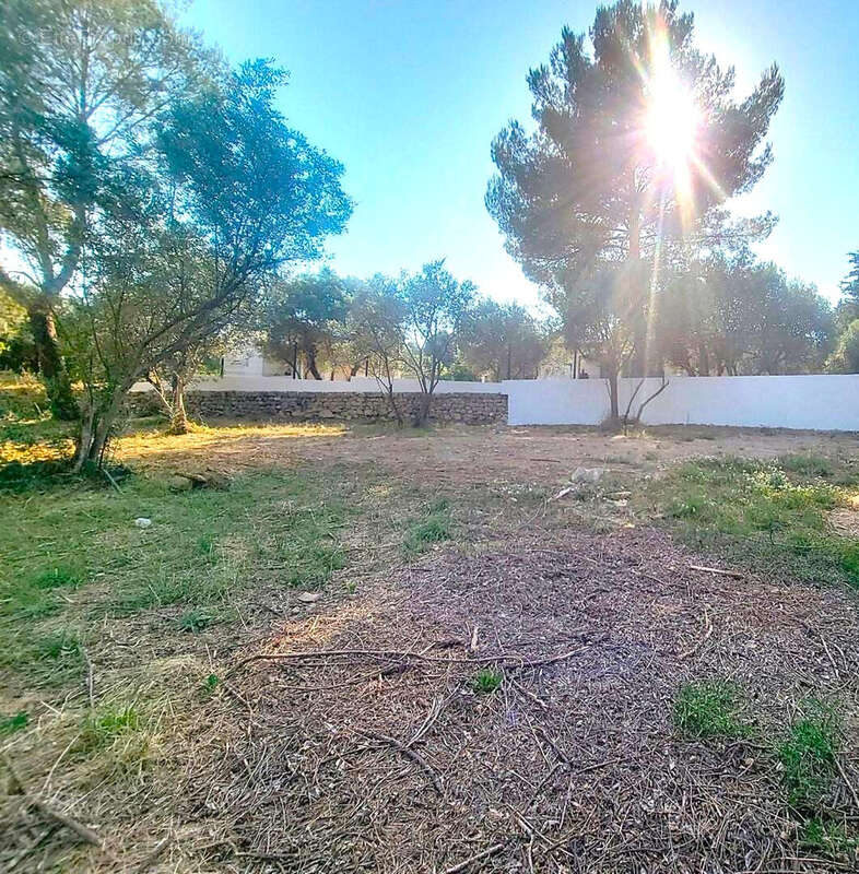 Terrain à DRAGUIGNAN