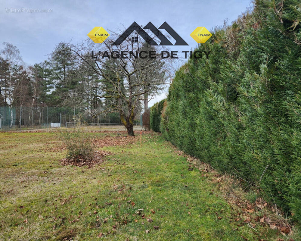Terrain à TIGY