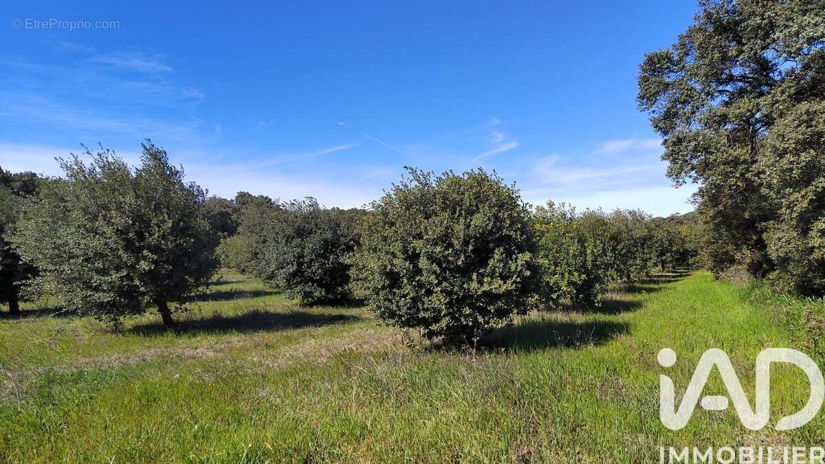 Terrain 4400 m² à Travaillan  - photo 2