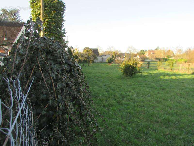 Terrain à MESNIL-SUR-L&#039;ESTREE