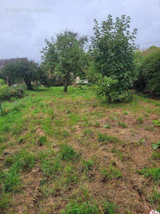 Photo 1 - Terrain à SAISSEVAL