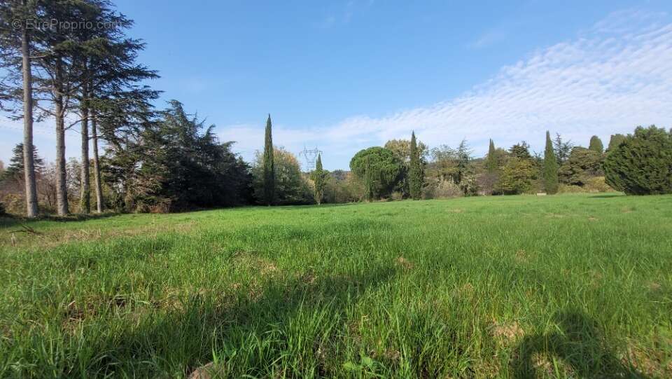 Terrain 1330 m² à Allan  - photo 4