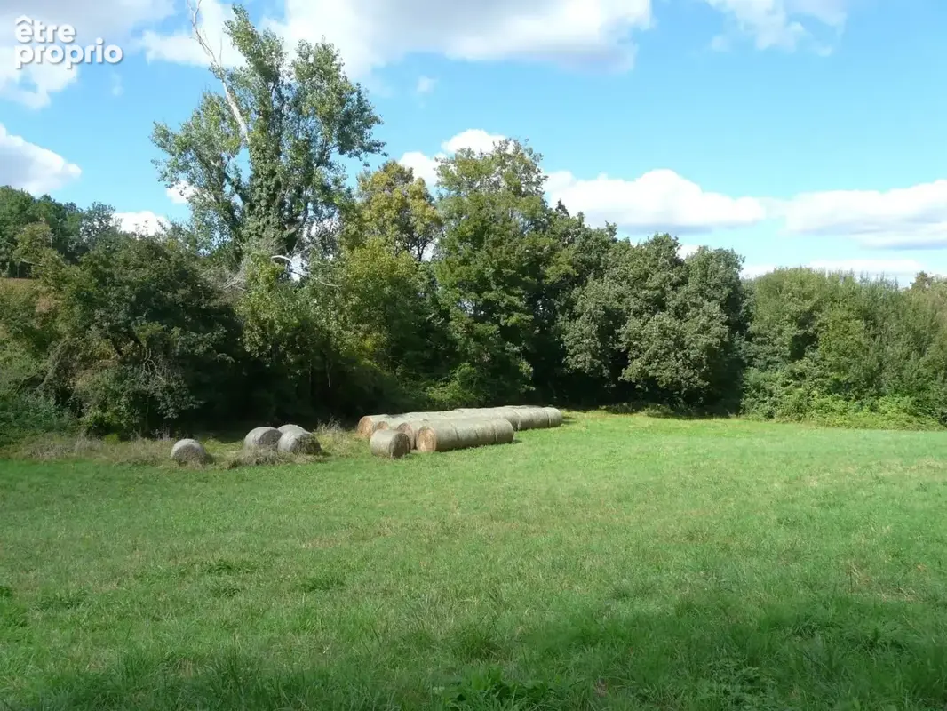 Domaine 17 hectares - photo 14