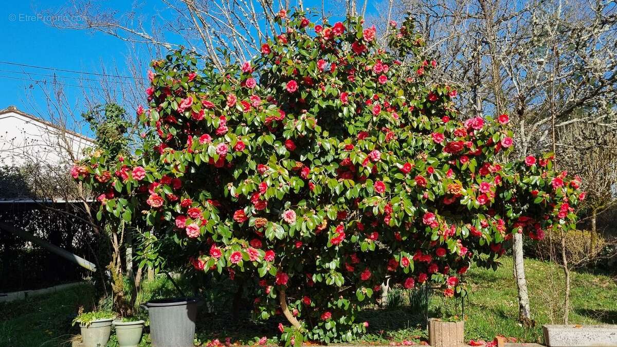 20260226153335 - Maison à NONTRON