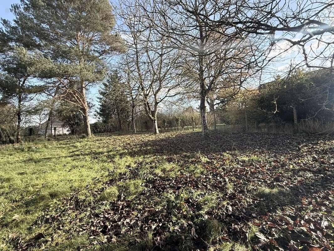 Terrain à CERE-LA-RONDE